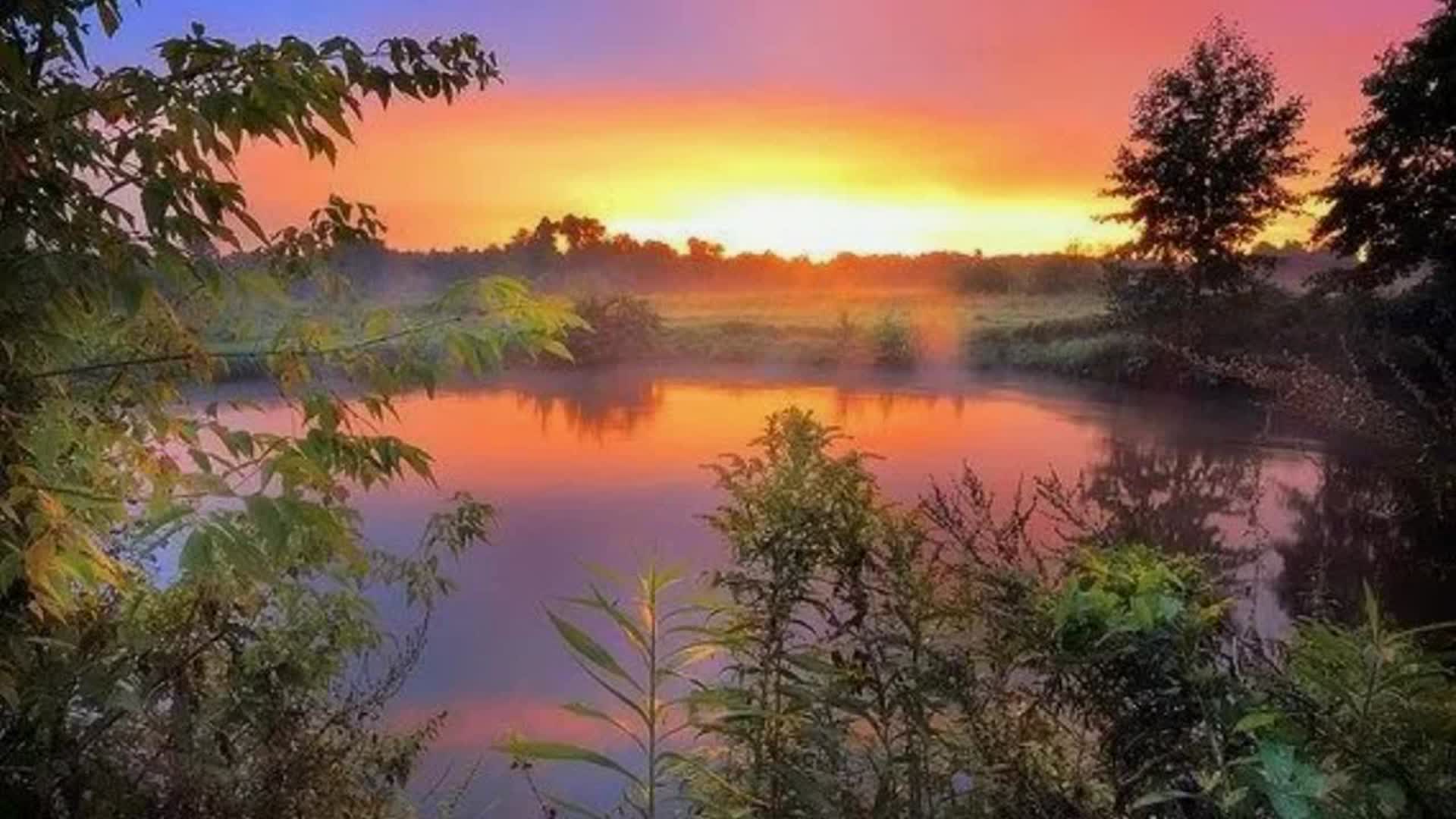 Утренняя заря
