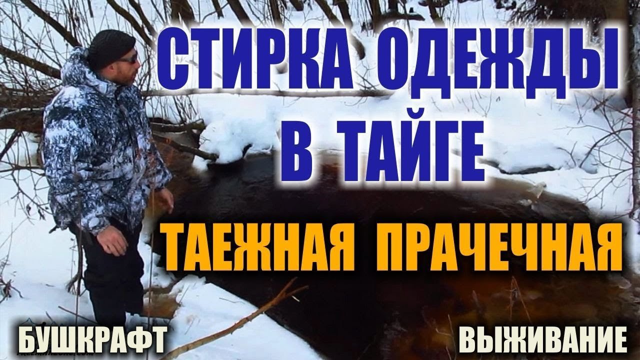 plvideo.ru