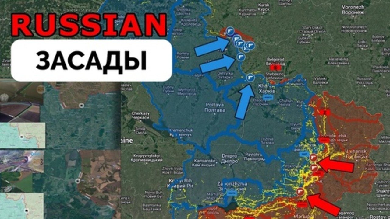 10.08 2024 суджа